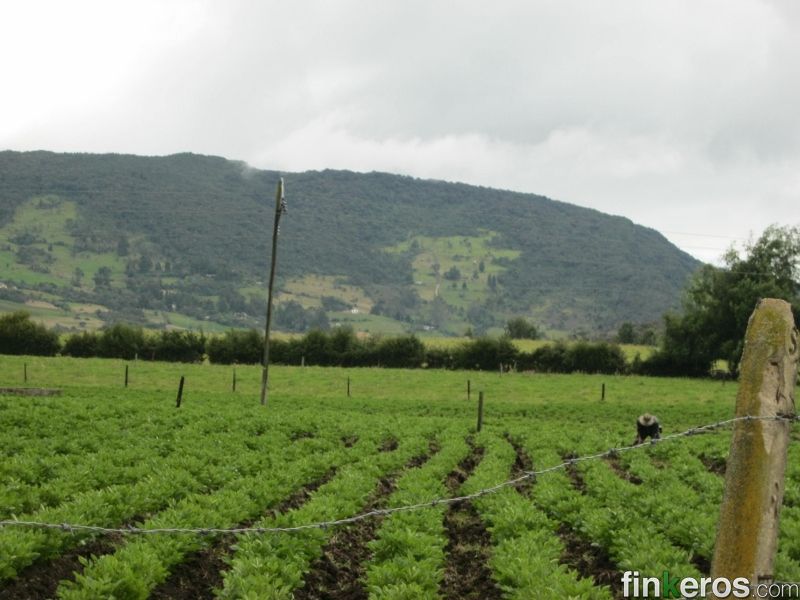 El Salitre - Finca en La Calera, Cundinamarca